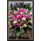 CBF-026